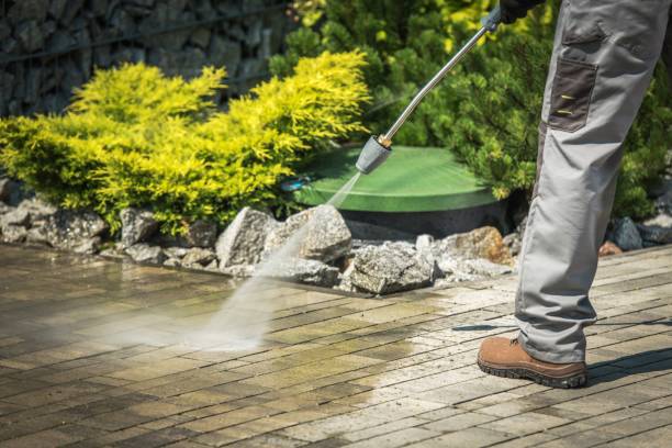 Best Pre-Holiday Cleaning  in Great Neck, NY